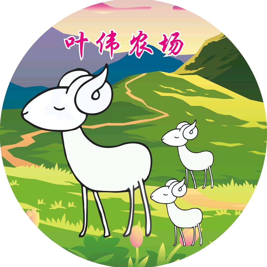 叶伟波尔山羊养殖