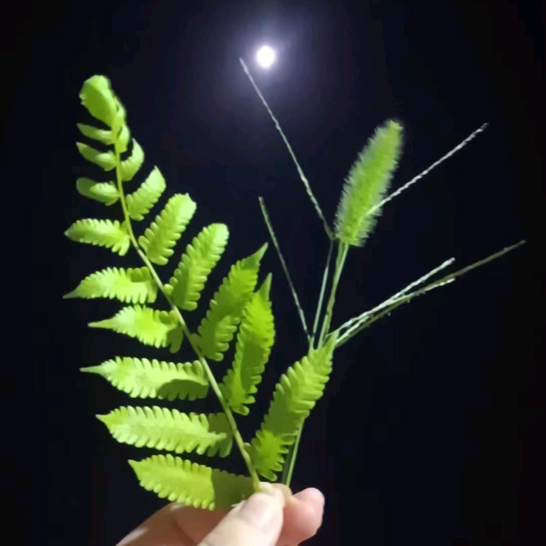 书荒推文(小番茄)