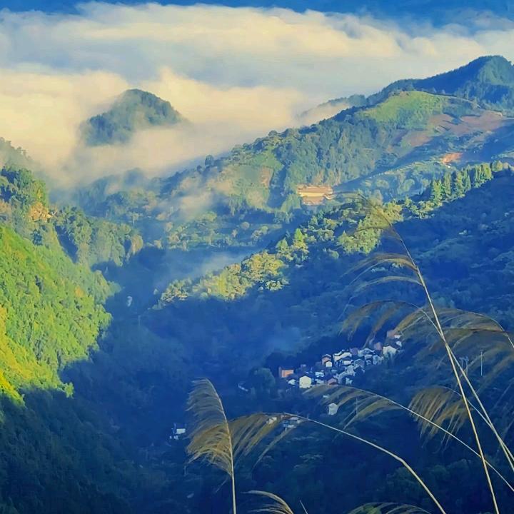 曹先森
