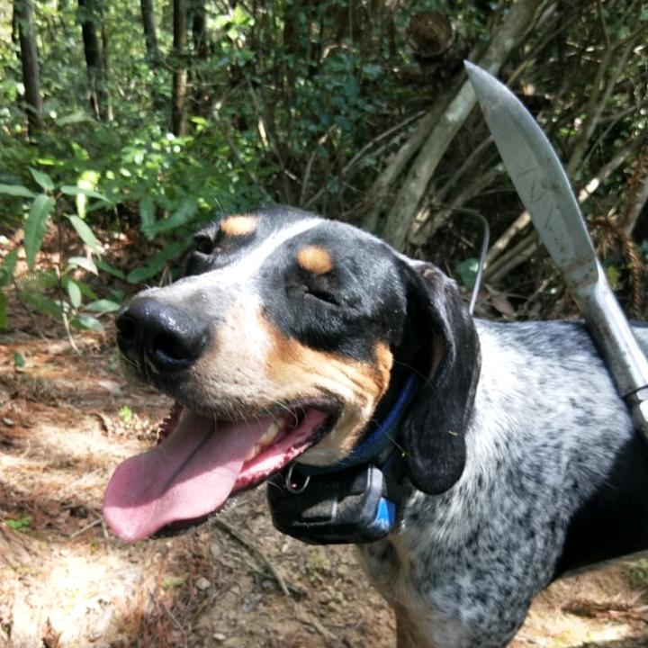 相遇就是缘☞《手心有你》