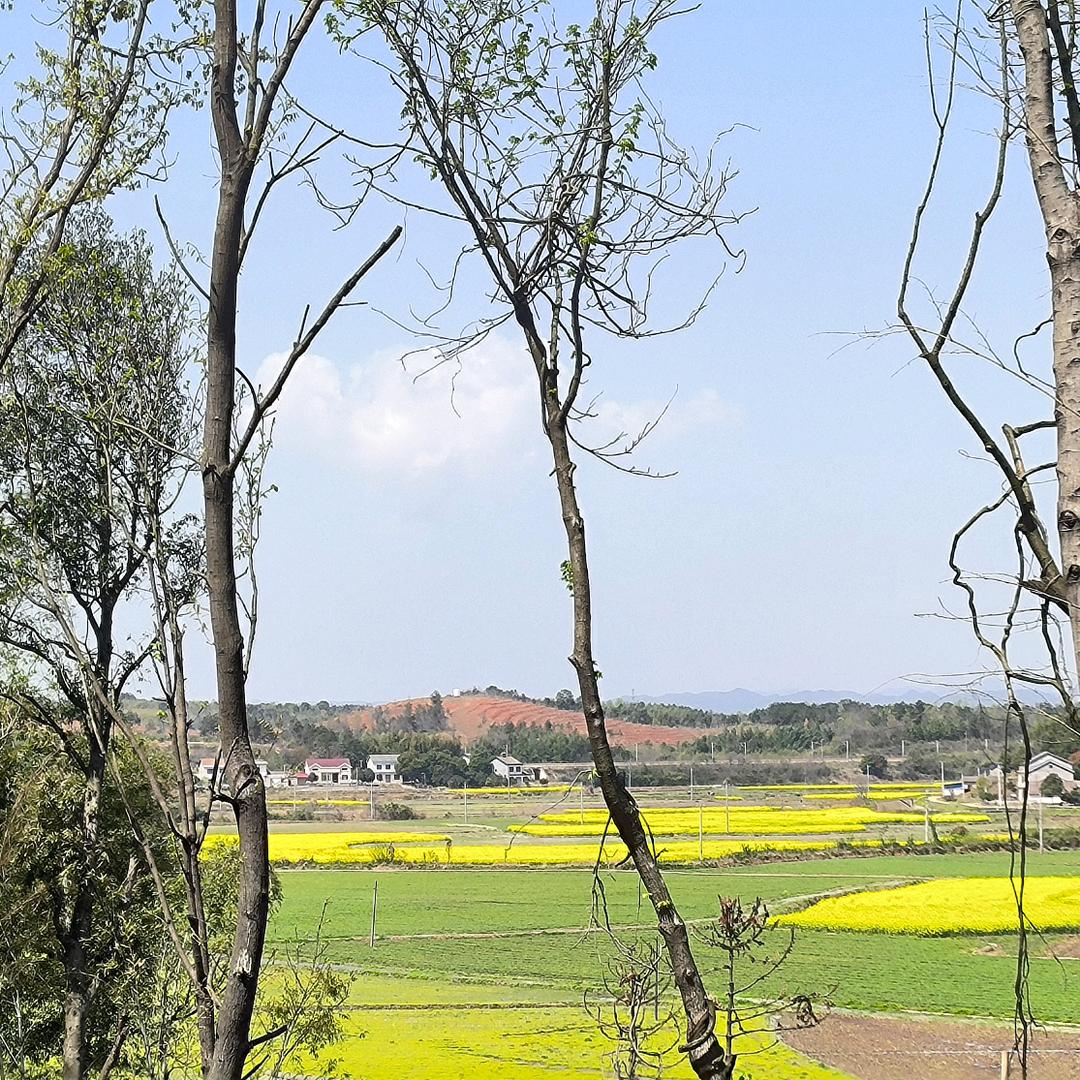 高山翔浩