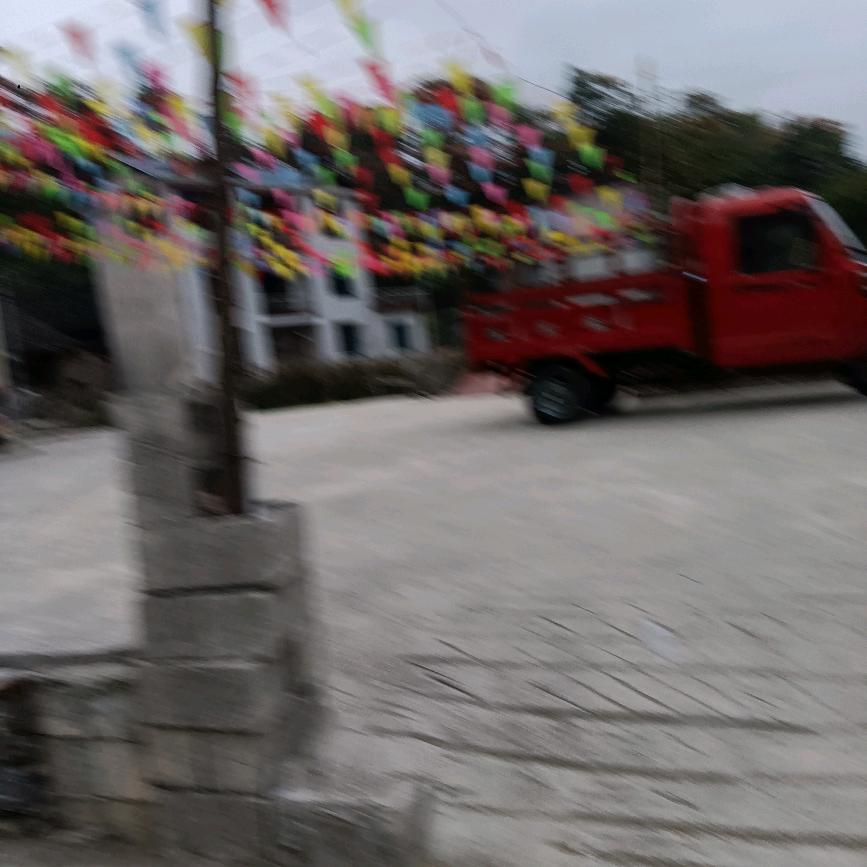 单身小麻