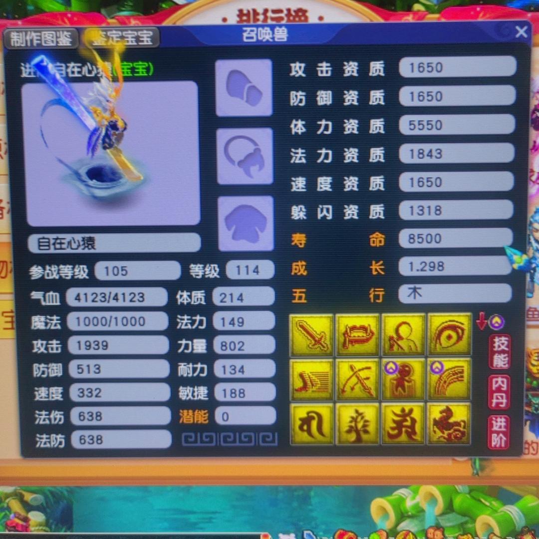 梦幻大呲花