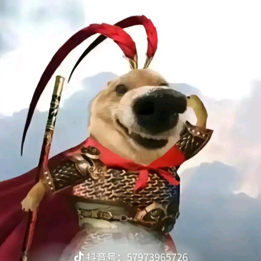 ，，，，，，，，，，