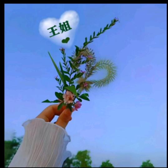 红落叶🍂