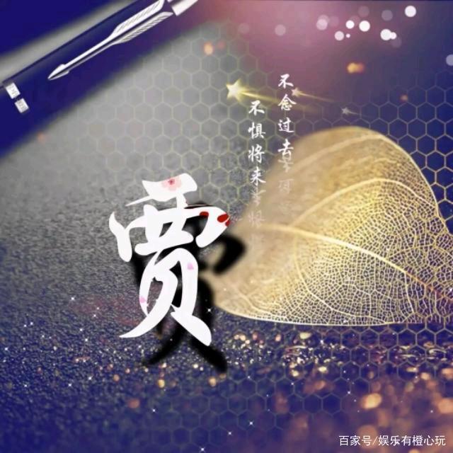 Mr贾先生