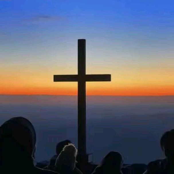 🇨🇳勿忘我🇨🇳