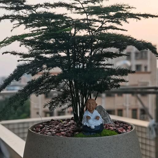卤小滔