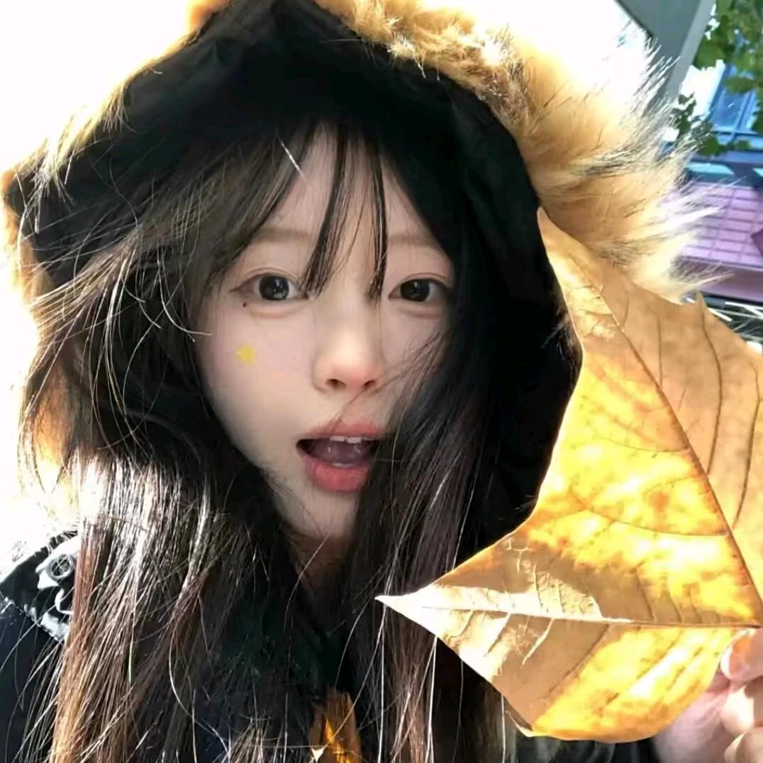 爱追剧的柠檬🍋