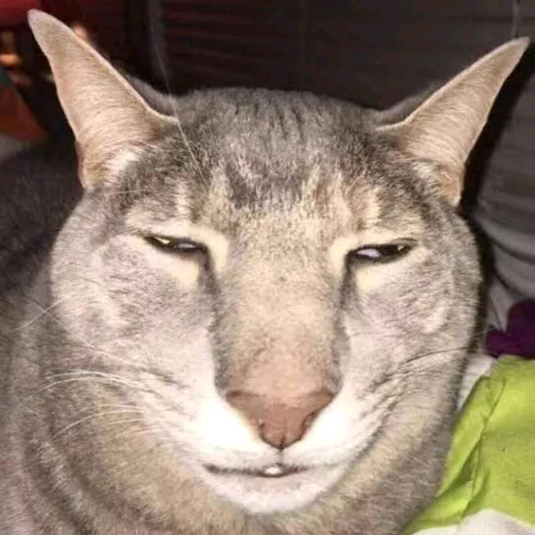 不困