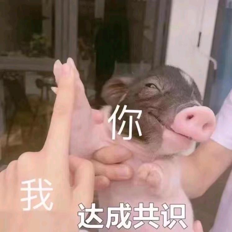 孟