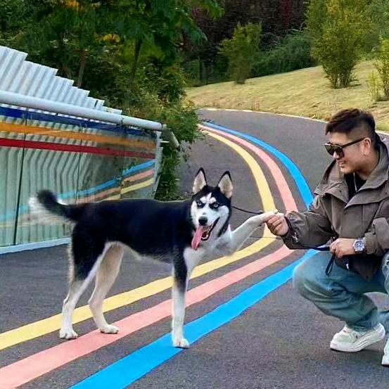 有它宠物