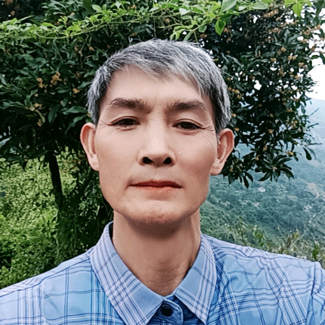 金哥（上早）11:50开播