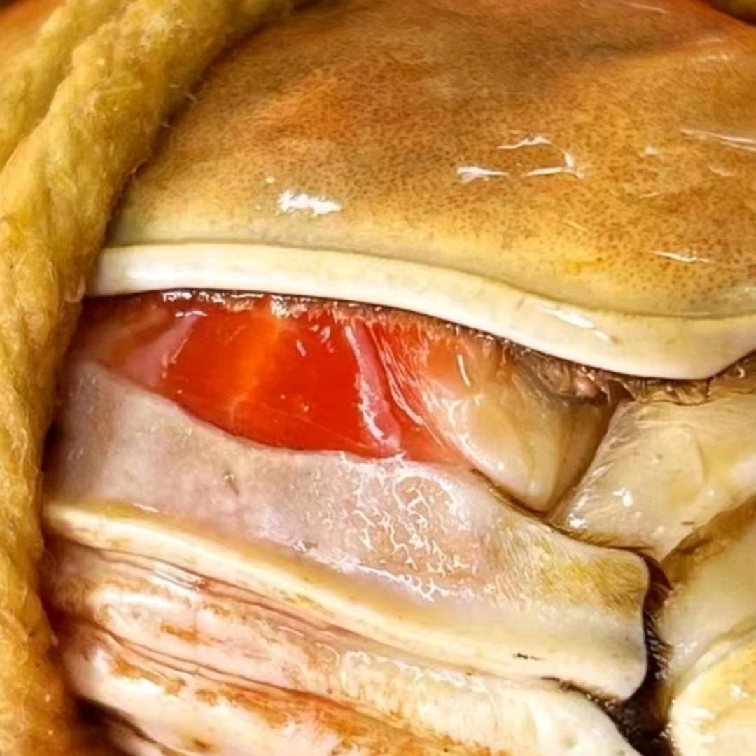 扬子批发龙虾螃蟹