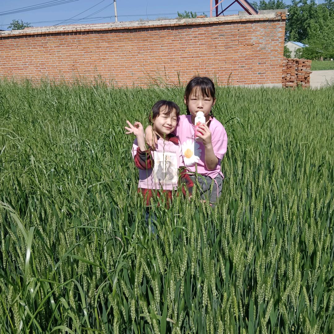 ℋღ᭄幽兰🍒烟雨᭄梦💞࿐