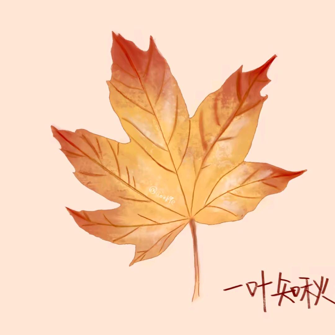 弔戼