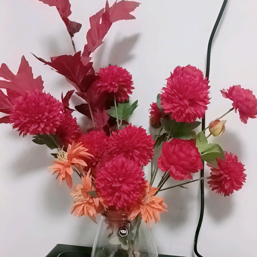 绯绡