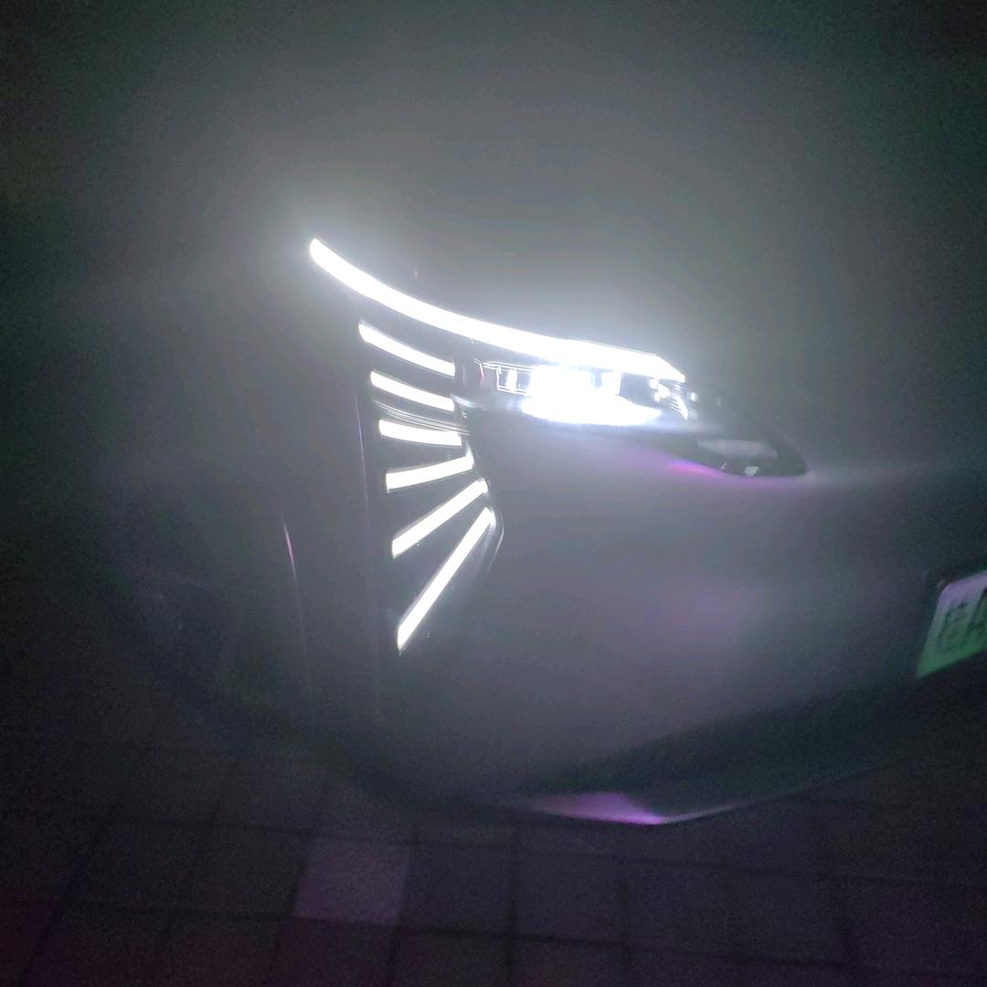 爱你的未来