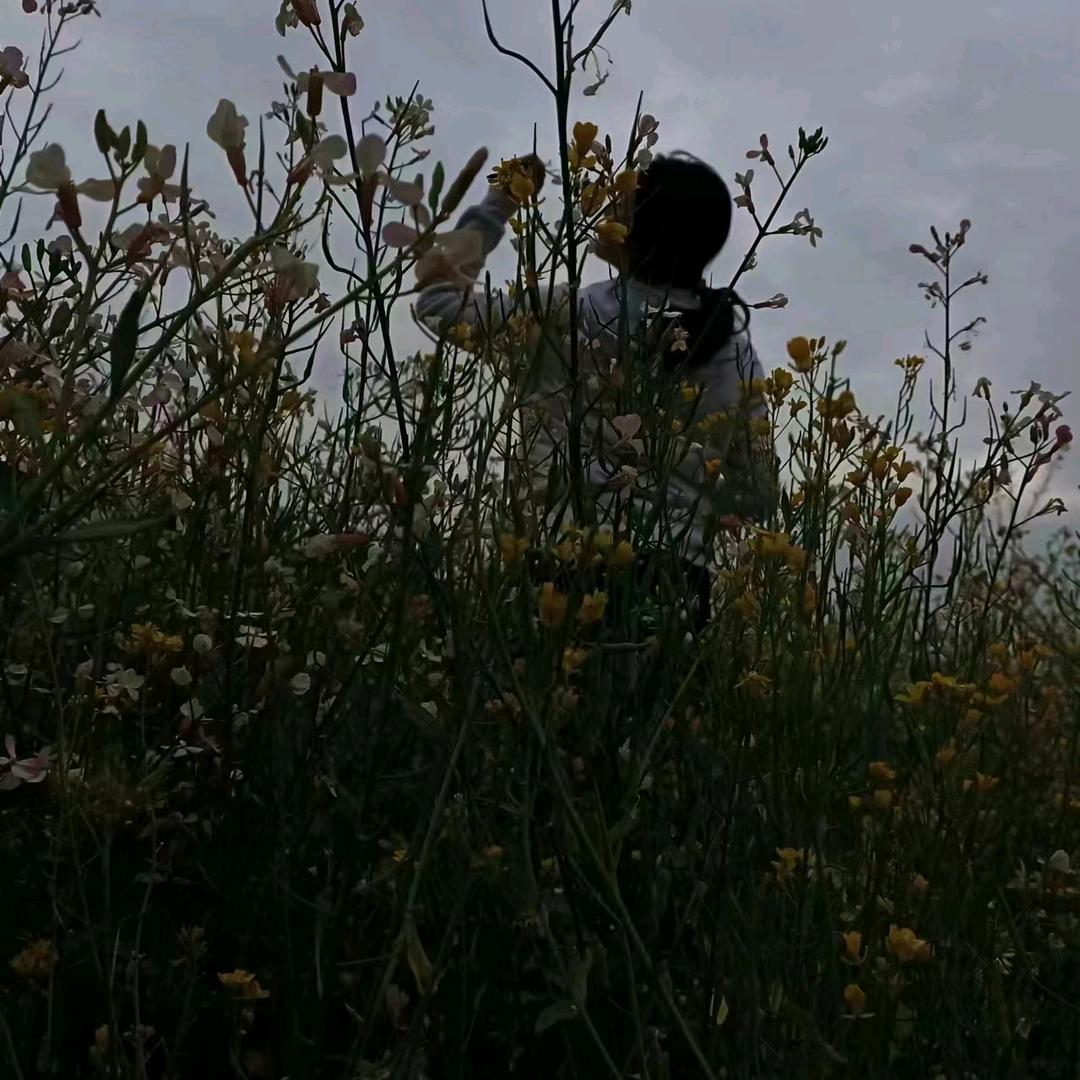 岁月静好（创业版）