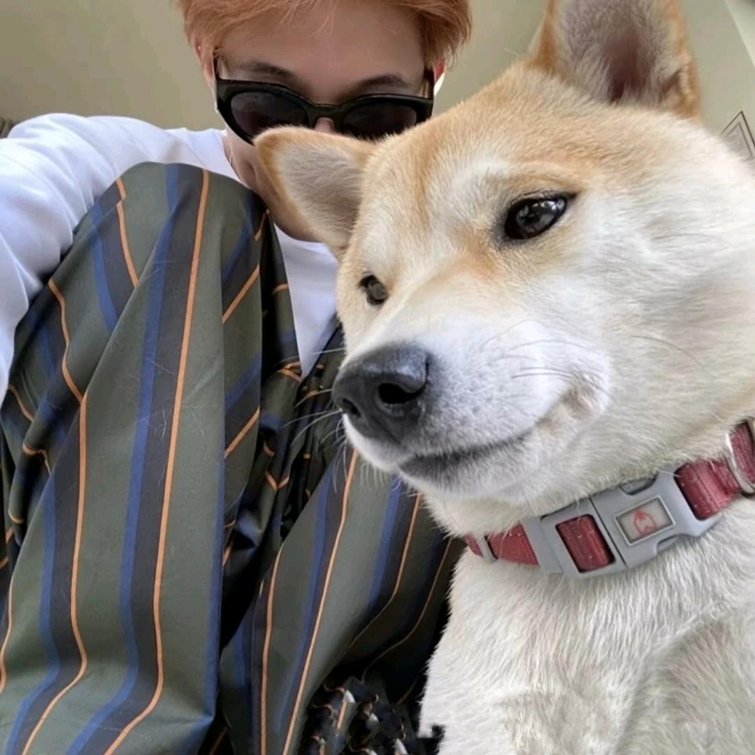 🌈还會再見嗎.