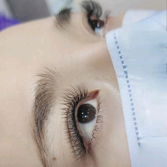 芬姐在线接睫毛