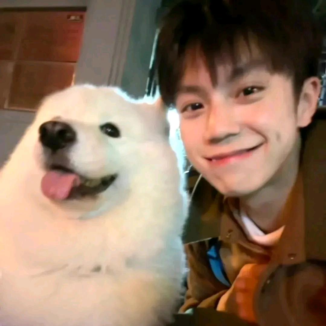 终不似，少年游✔