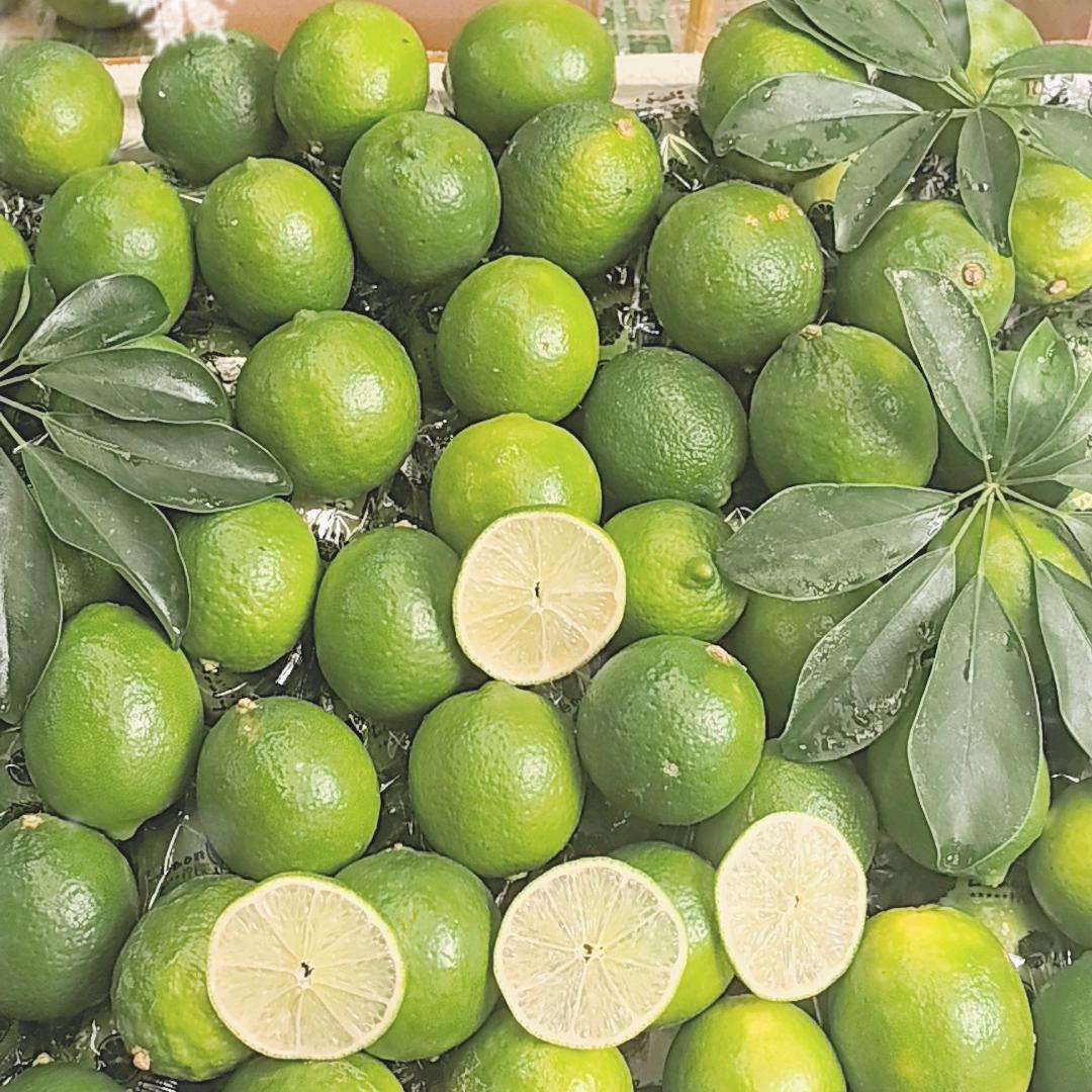 美尔鲜生鲜精选