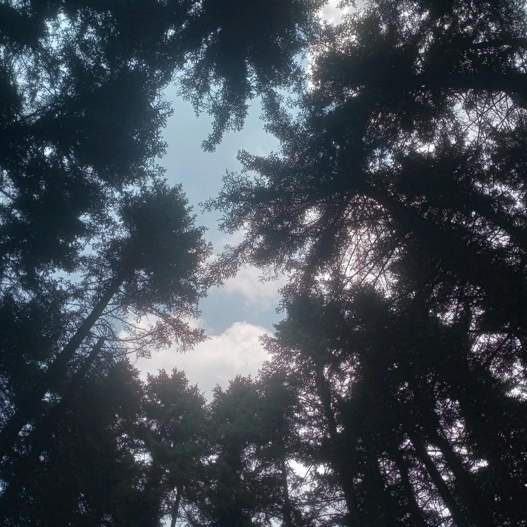 大海