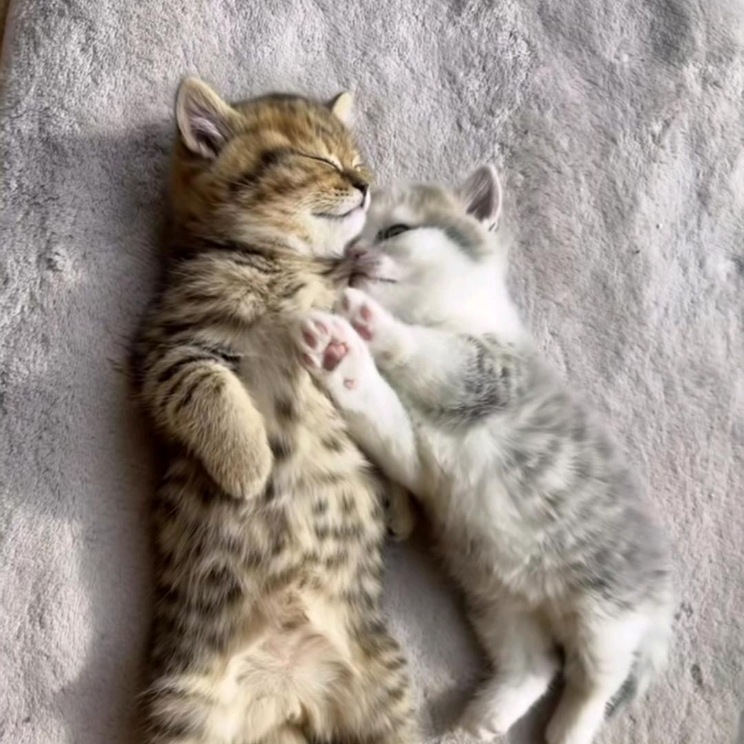 ༂@飞机飞过天空༄༅