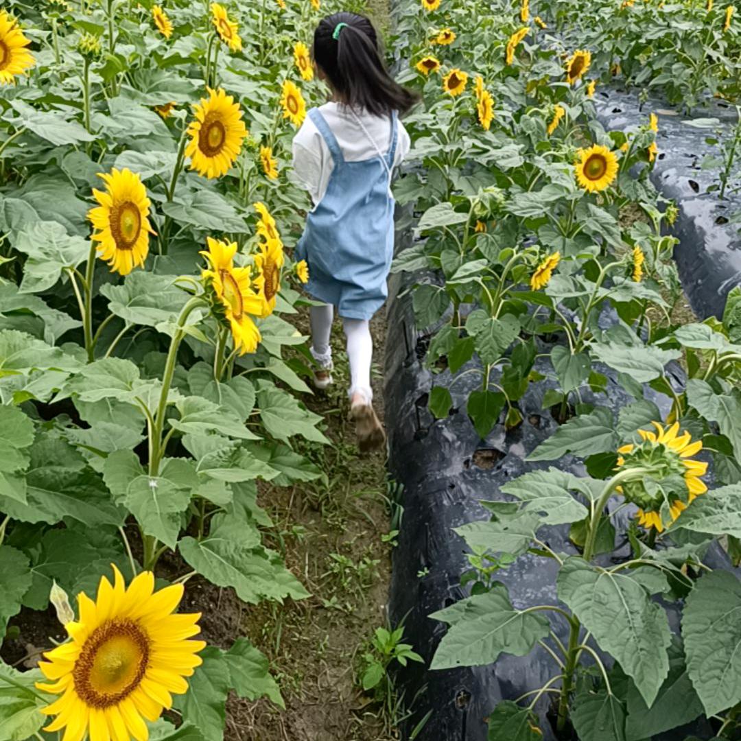 小雪儿