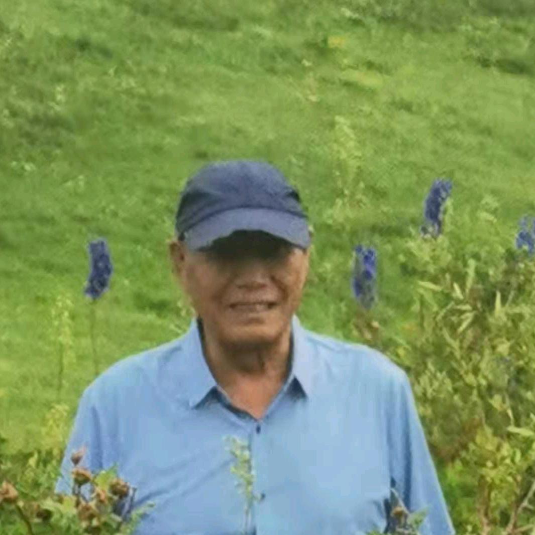 滷