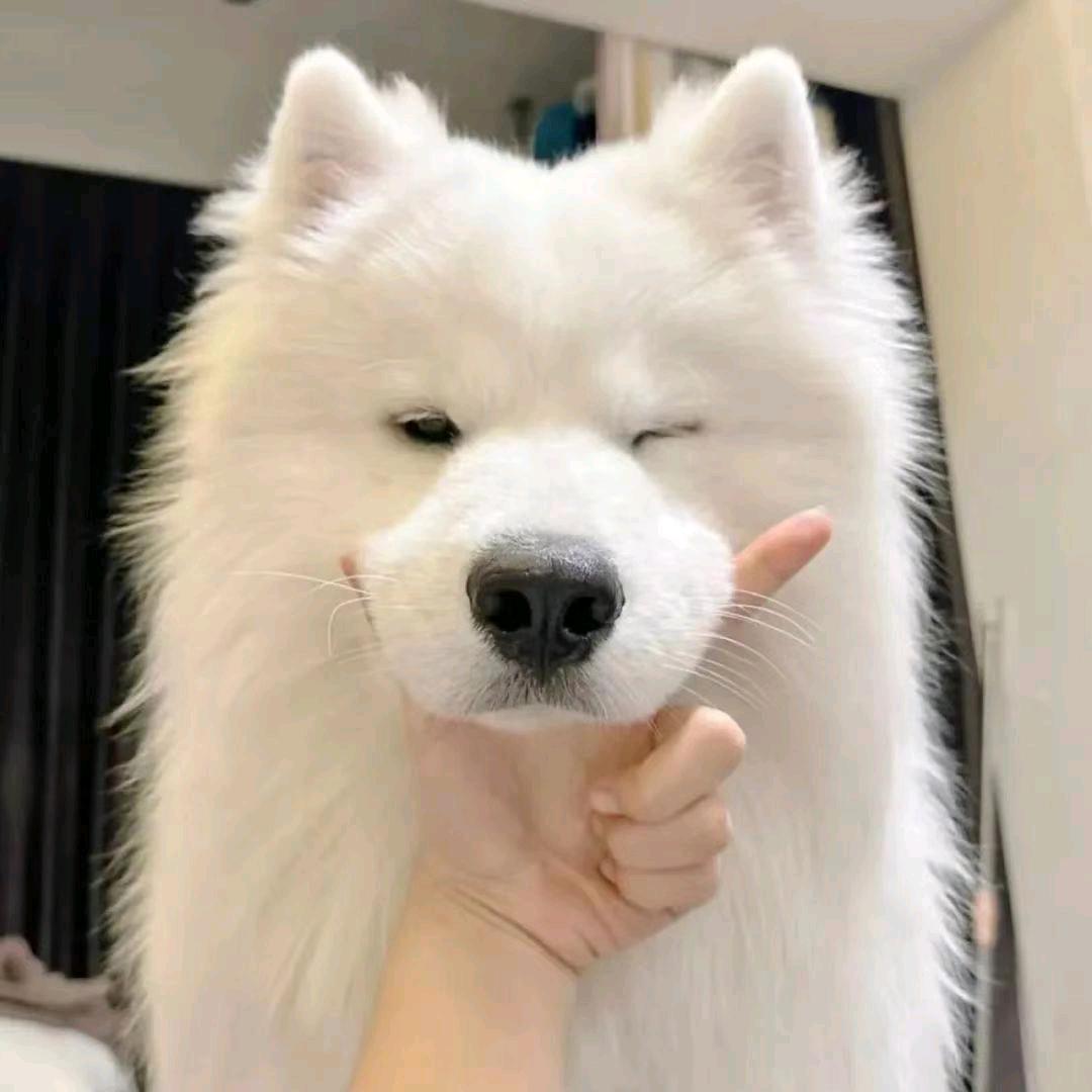 Nayo