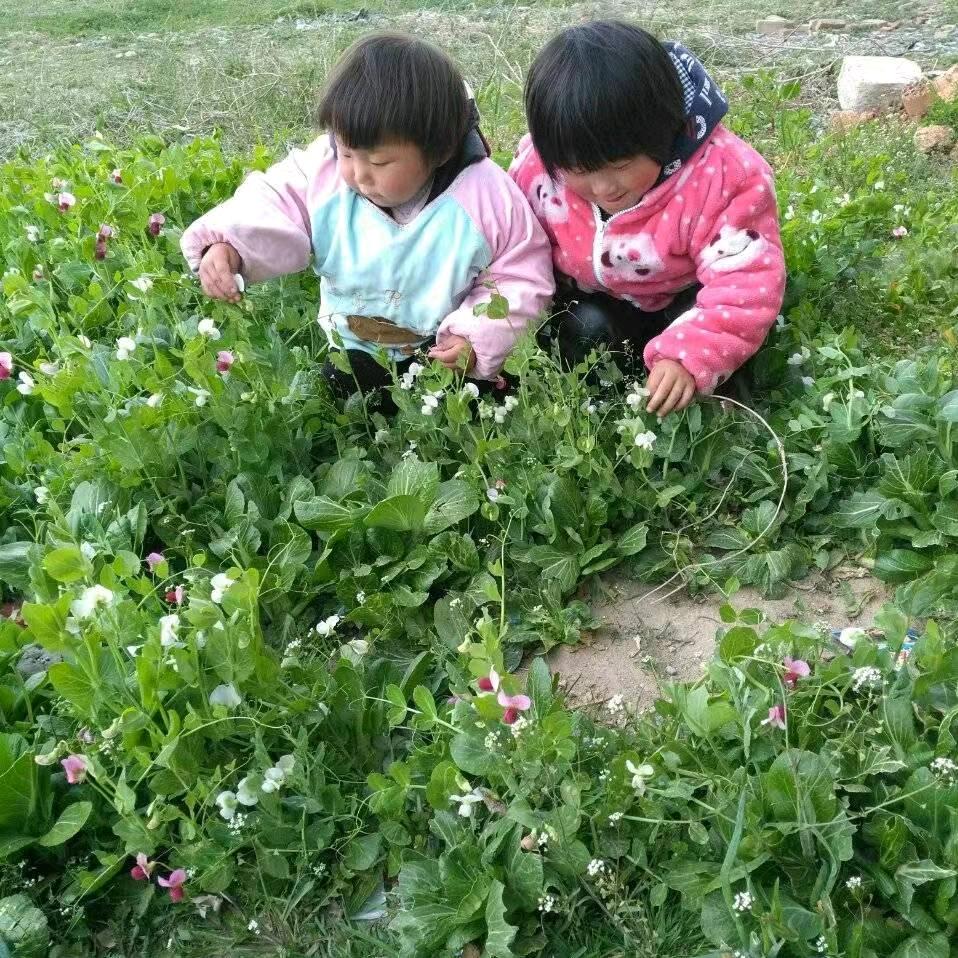 🦋এ᭄我姓ꦿ张💔别嚣张ོ࿐ᩚ