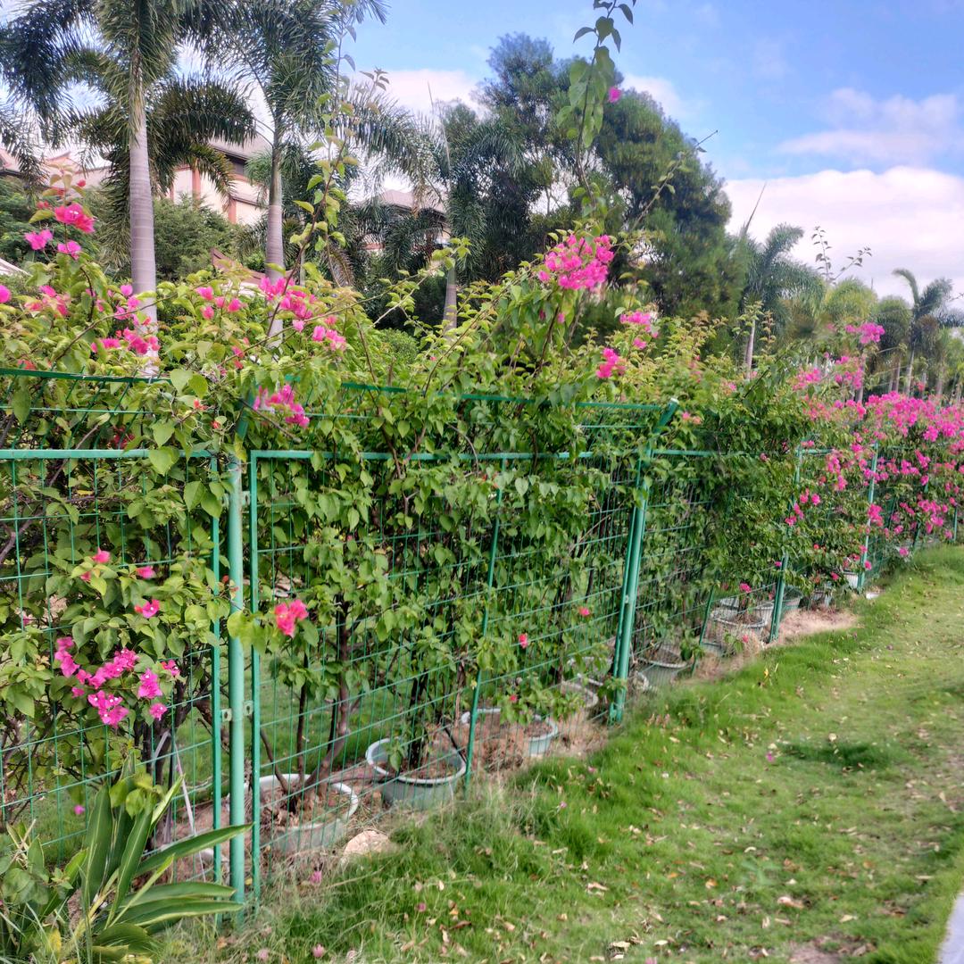 自信的我🍓🍓