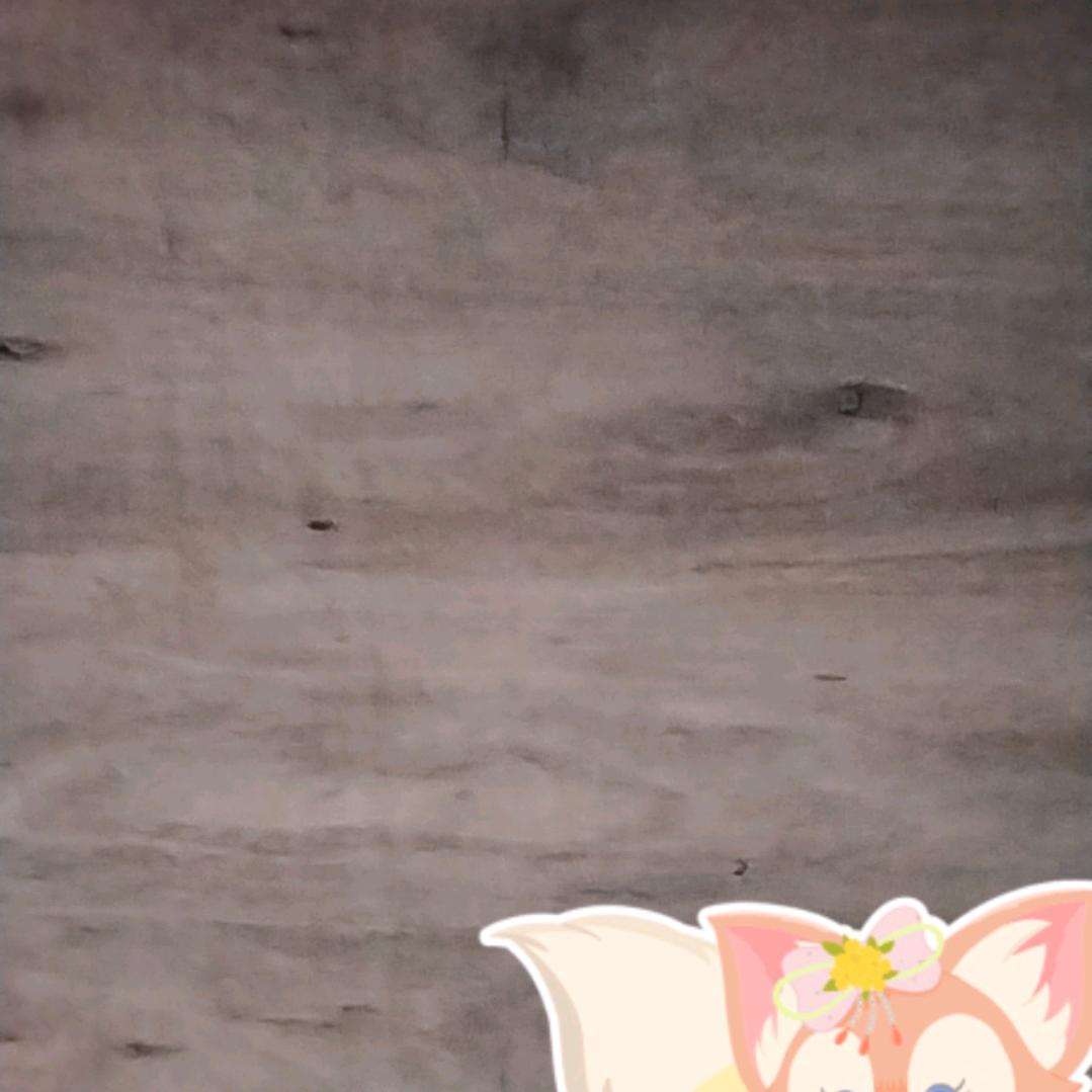 @梦随～心动💗