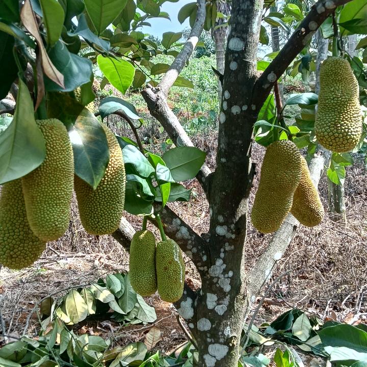 👉临风纵欢👈🇨🇳🐇