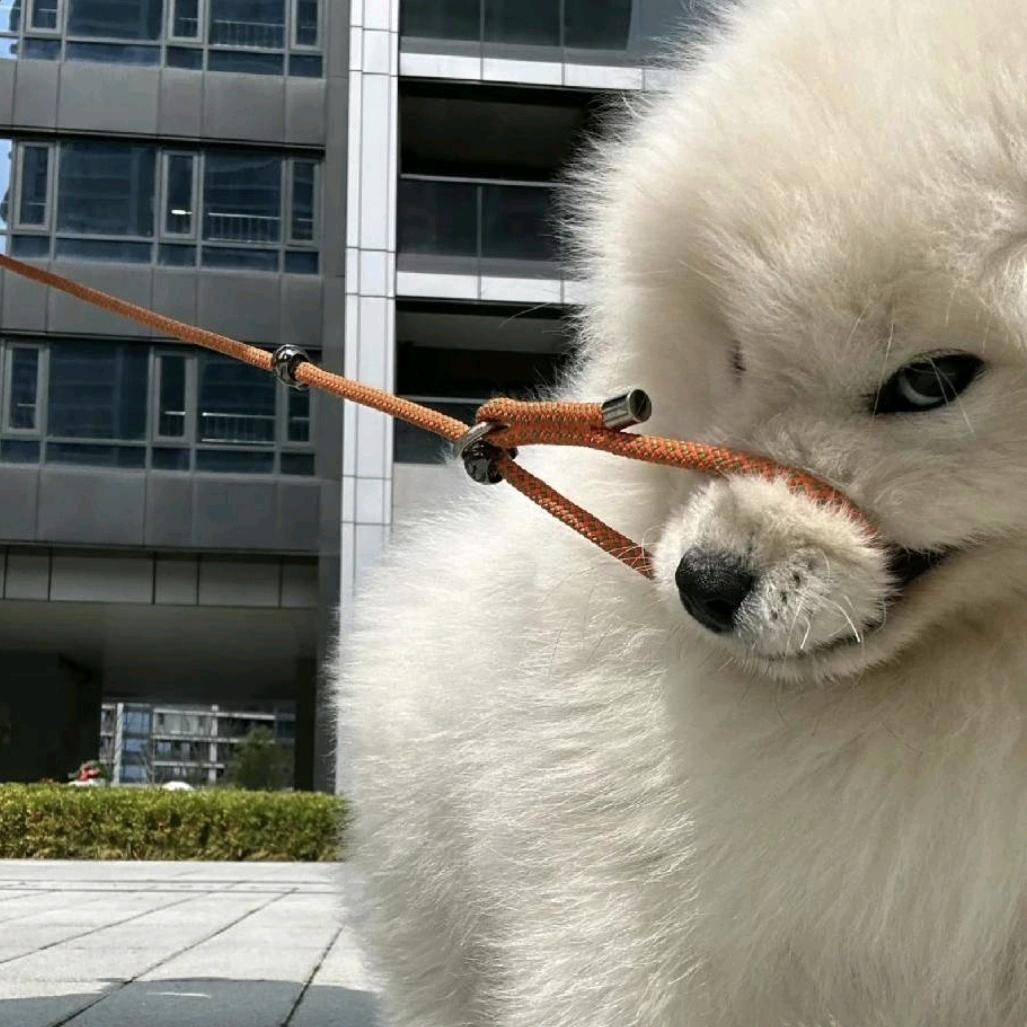 ㅤ陆火火