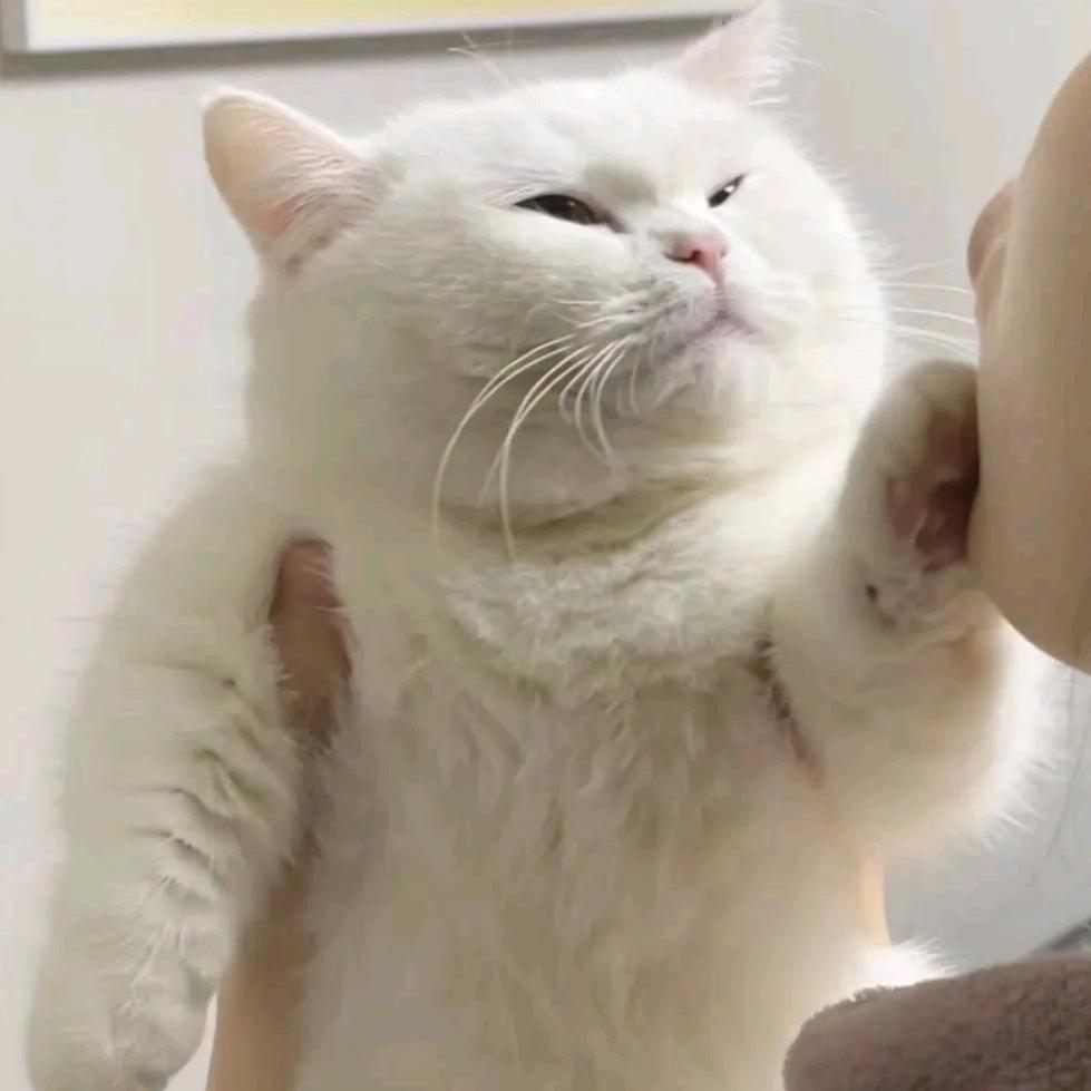 禾三竖阿