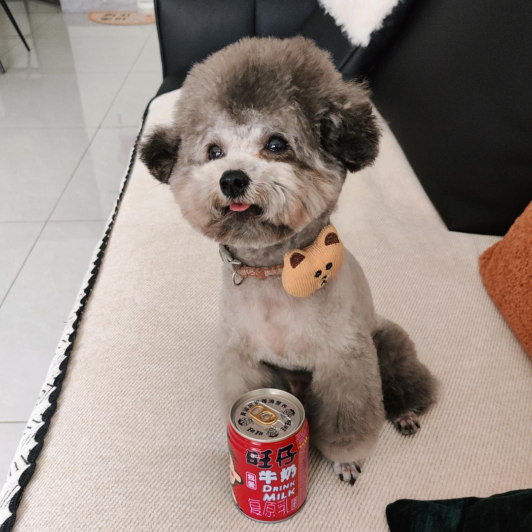 嘎嘎