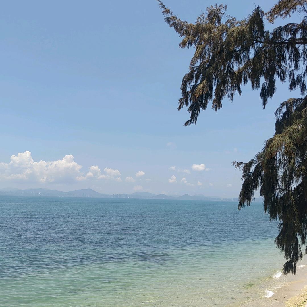 🧘‍♀️🌴enjoying