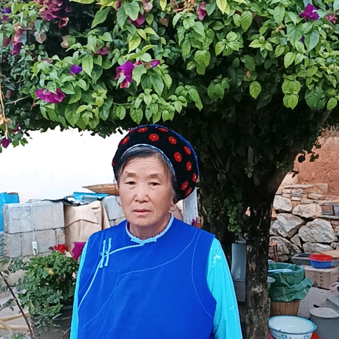 菊美