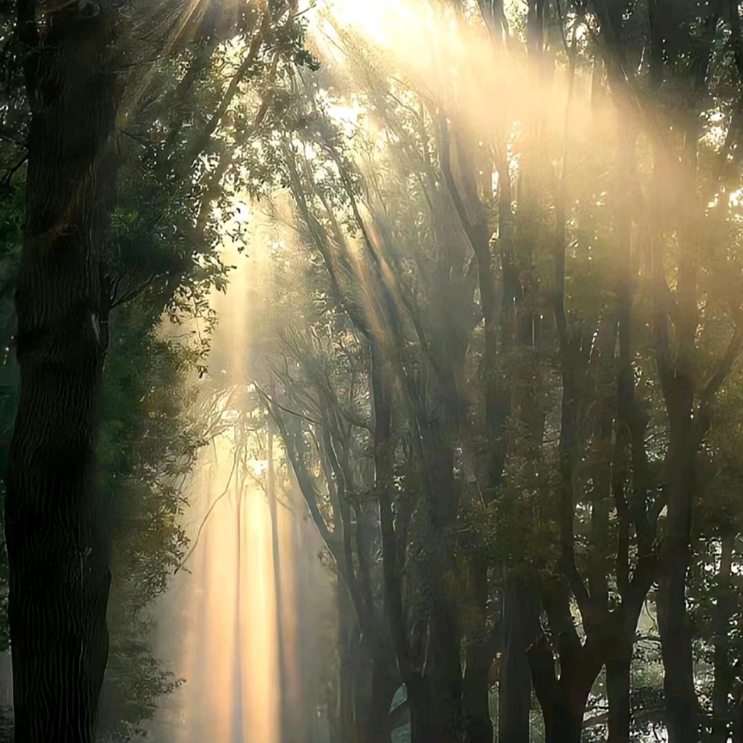 -吃香菜最佳选手