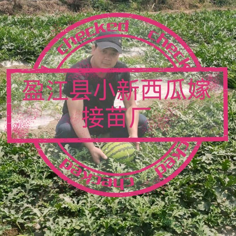 田埂上的梦🌹🌹