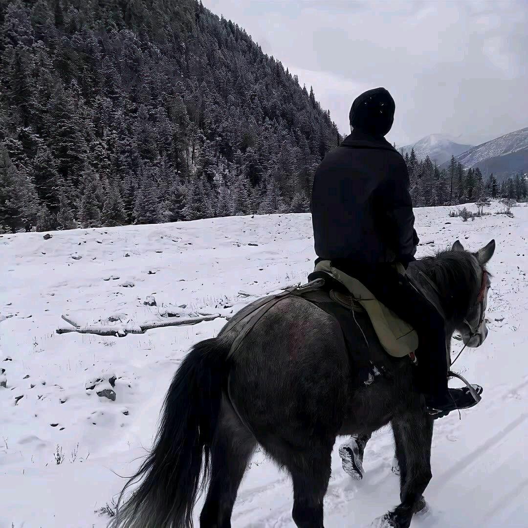 鱼儿的温馨小窝