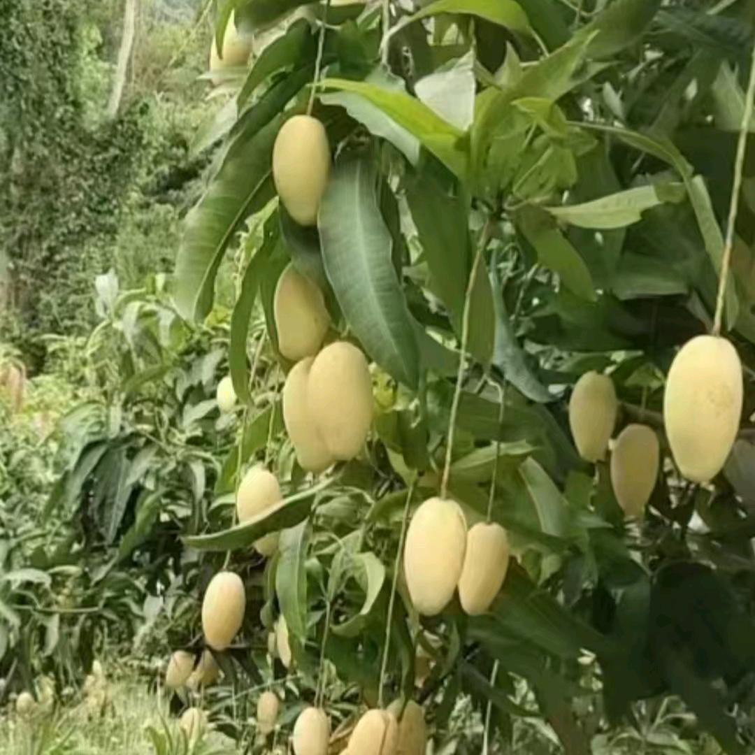 用户7071737483671