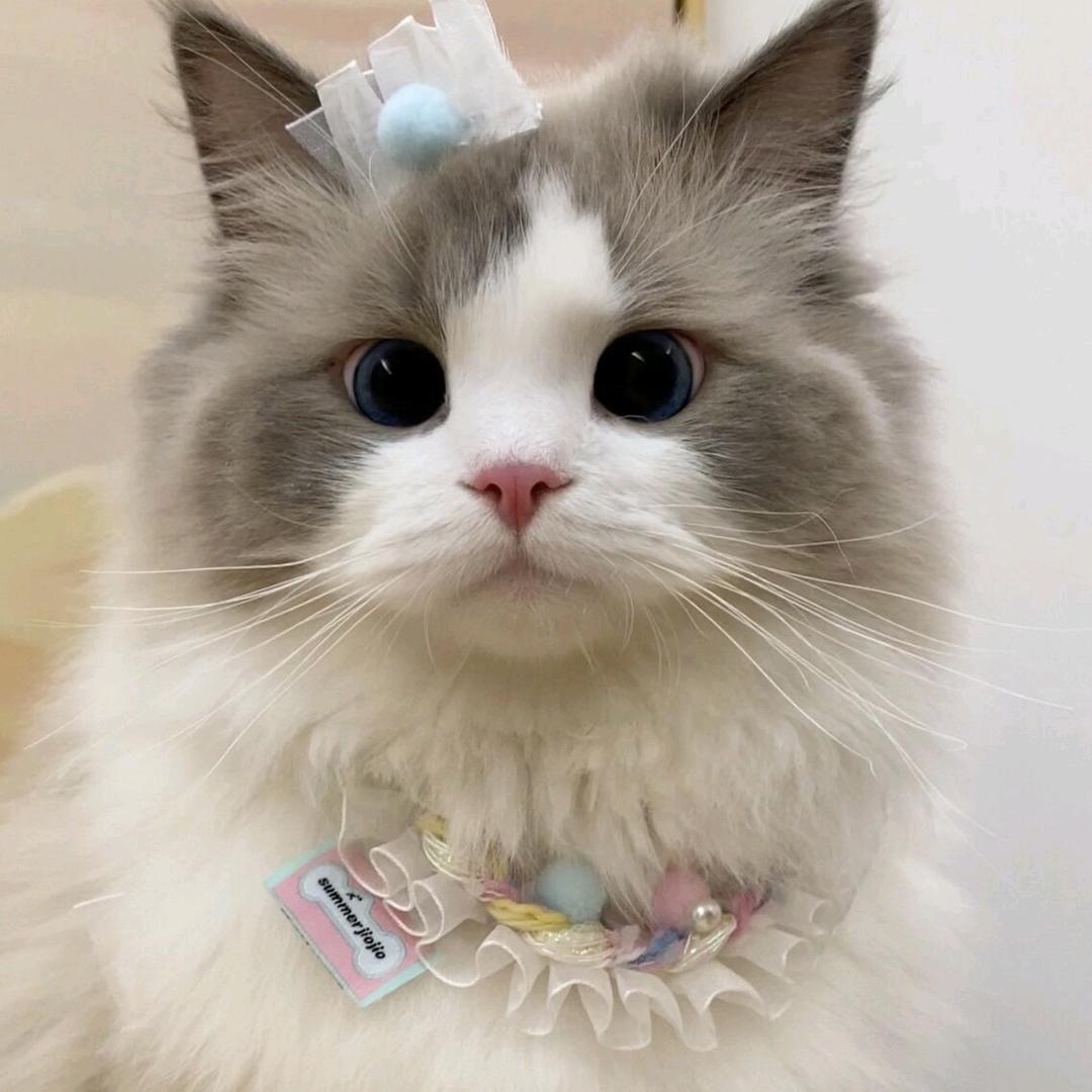 宁宝宝好物分享～