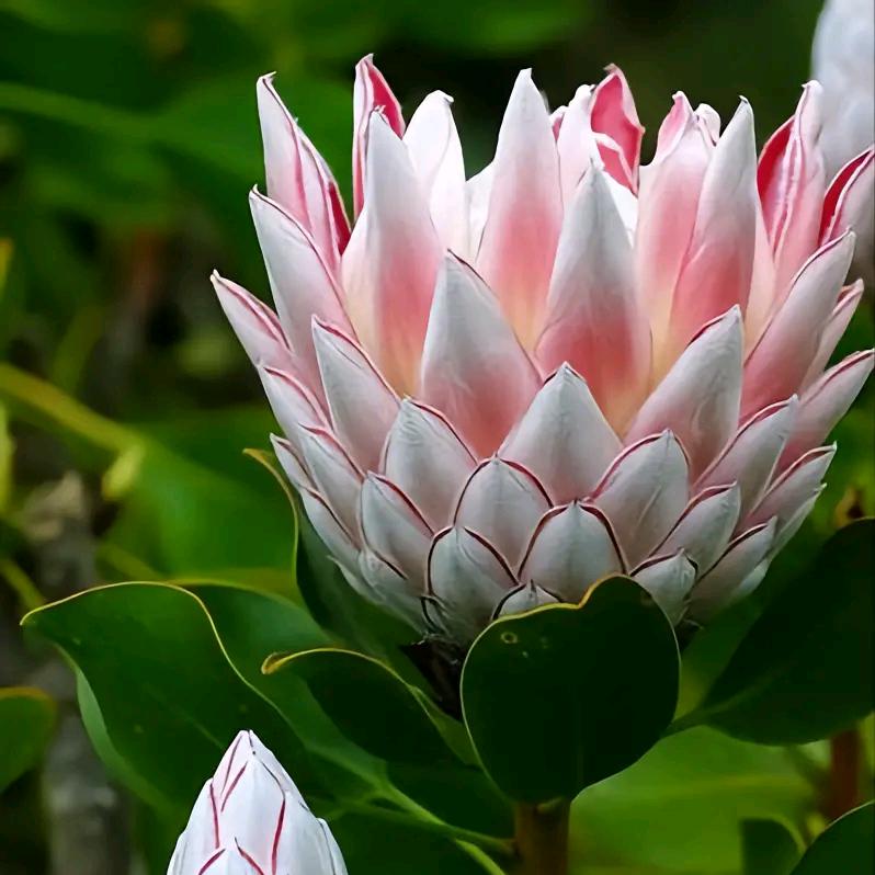 美好生活👩‍❤️‍👩👩‍❤️‍👩