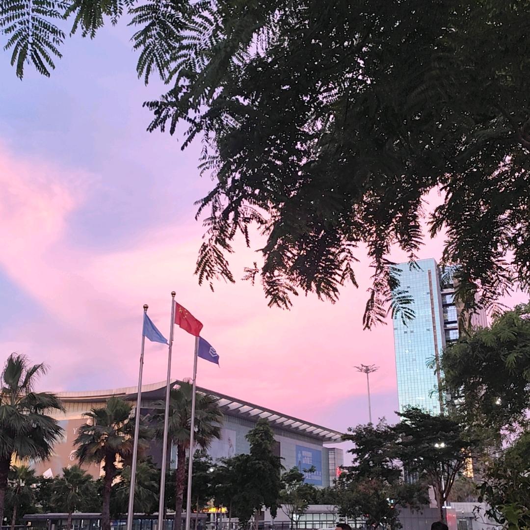 西雅图海运美线实力服务商