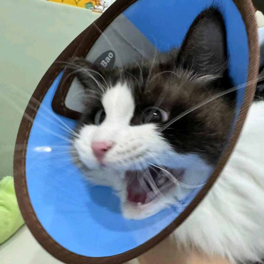 刚刚好^O^