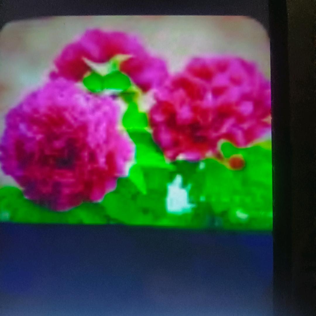 张负文